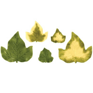 4 Cortadores Large Ivy JEM